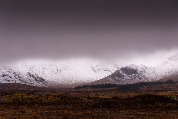 Glencoe