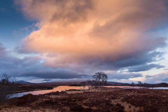 Glencoe