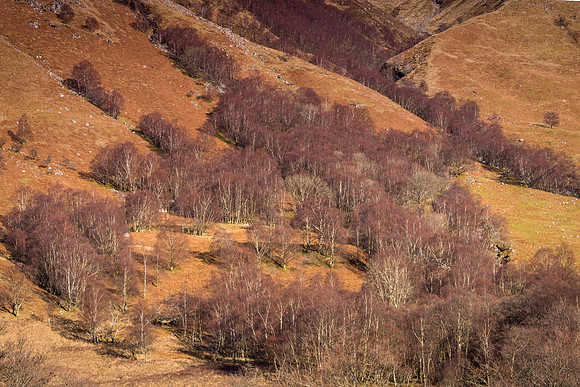 Glencoe