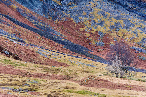 Glencoe