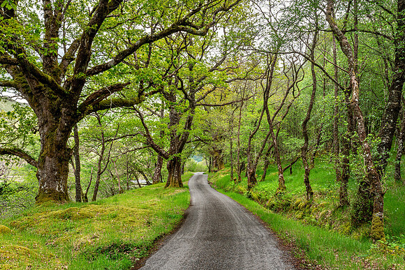 Glen Orchy Road