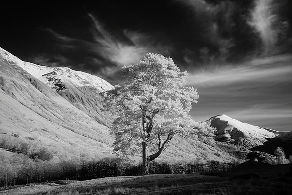 Glencoe