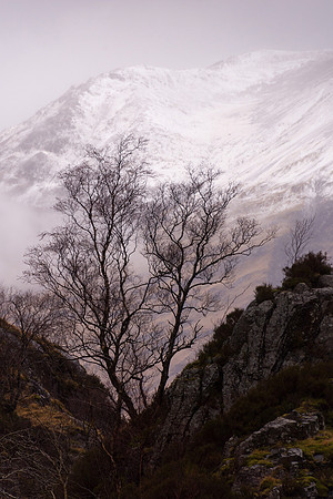 Glencoe