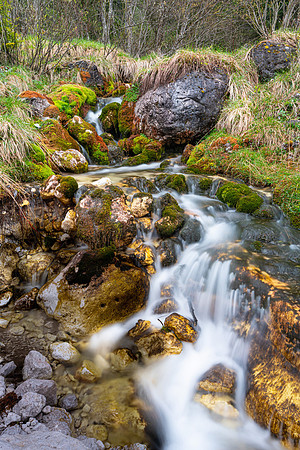 Val Canali, The Dolomites