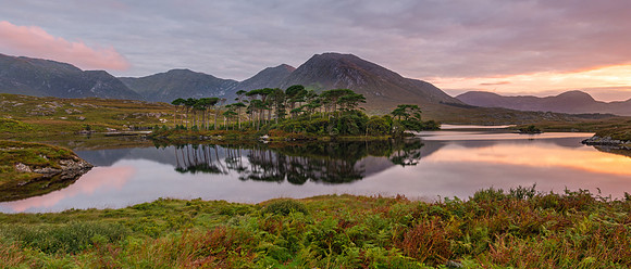 Twelve Pines Island, Derryclare Lough, Connemara