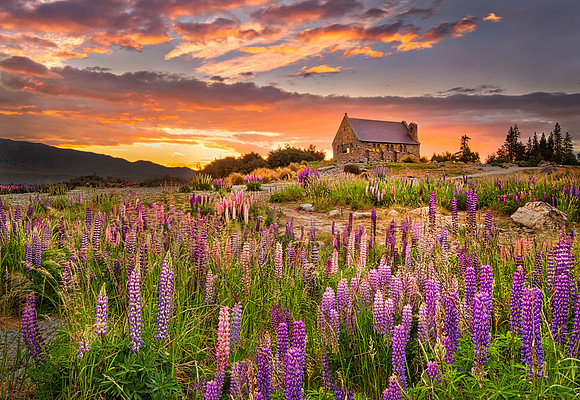 "Dawn at Tekapo"