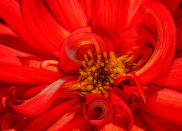 "Study in Red"