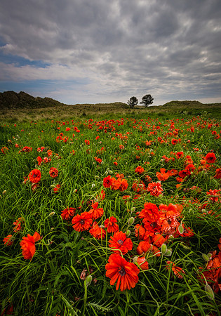 "Stormy day at Bamburgh"