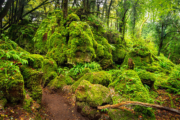 "Middle Earth"