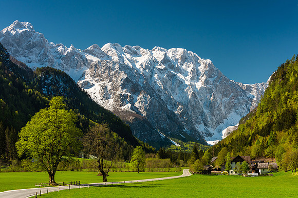 "Last Snows of Spring"