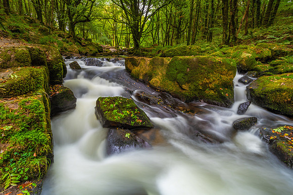 "King Doniet's Watery Grave"