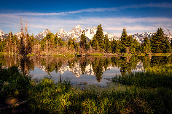 "The Perfect Reflection"