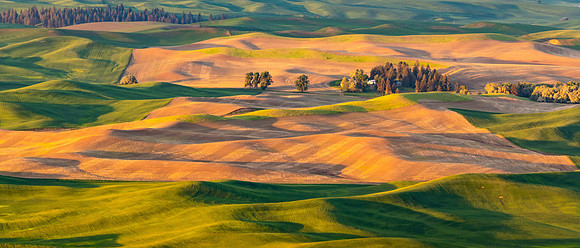 "Palouse Panorama"