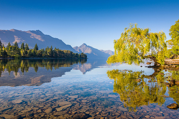 "Wanaka Dawn"
