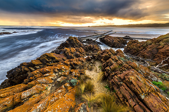 "The Wild Tarkine"