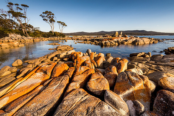 "Bay of Fires"
