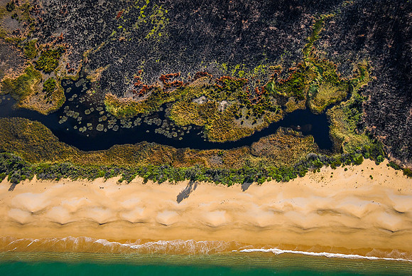 "Bushfire Survival"