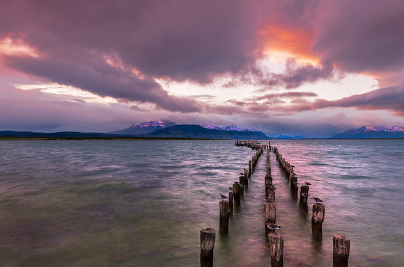"The Old Jetty at Punta Arenas."