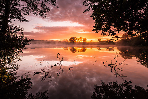 "Dawn at Fellbrigg"