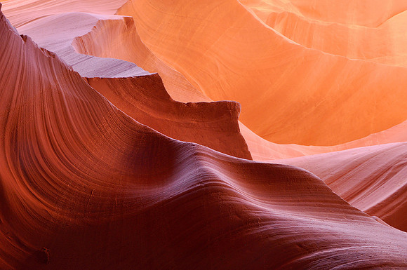 "Voluptuous Glow"