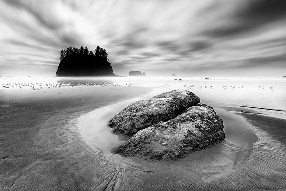 "Pacific North West"