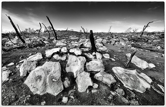 "Bush Fire Devastation"