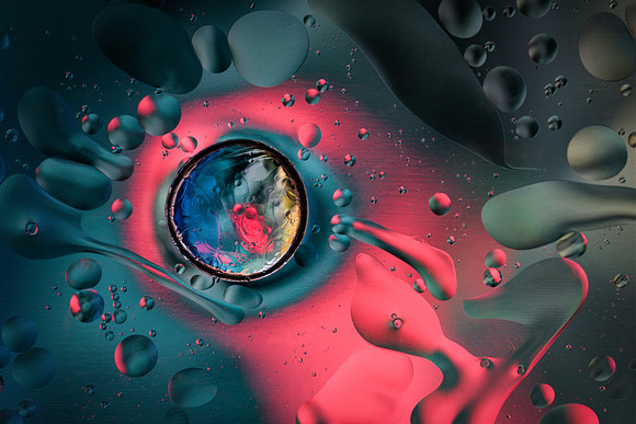 "Metamorphosis XI"