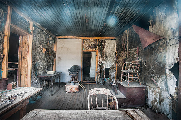 "Bodie XX"