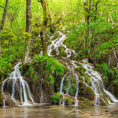 "Spring Melt"