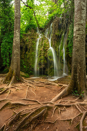 "Delicate Falls"