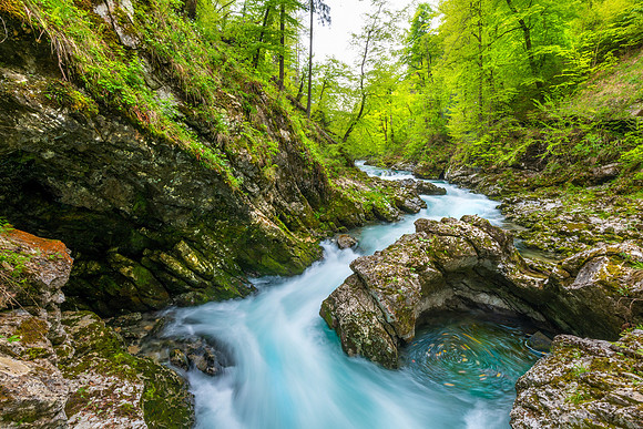 "Vintgar Gorge"