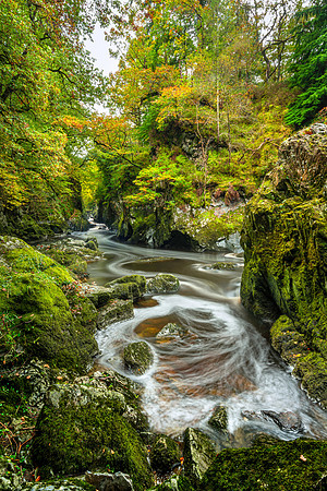 "Fairy Glen"
