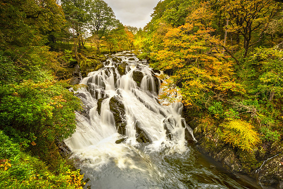 "Swallow Falls"
