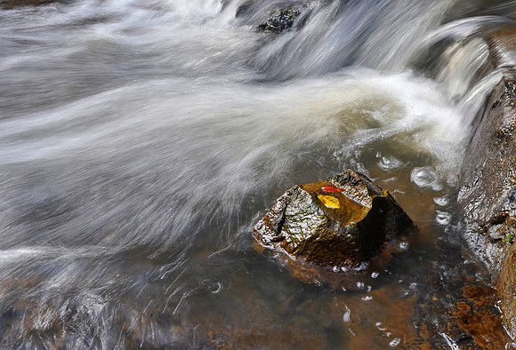 Turton Creek Falls VI