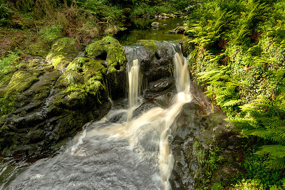 Glenariff, Antrim Coast