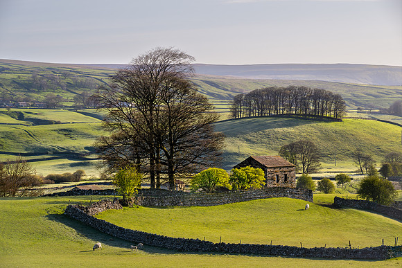Wensleydale