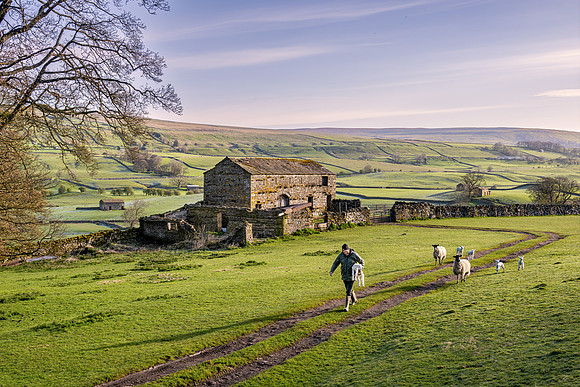 Wensleydale