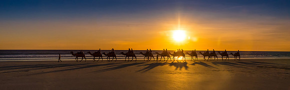 Camels Panorama, Cable Beach, Broome