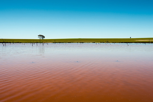 Pink Lake