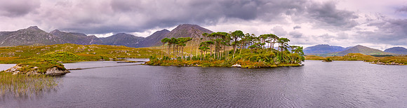 Twelve Pines Island, Derryclare Lough, Connemara