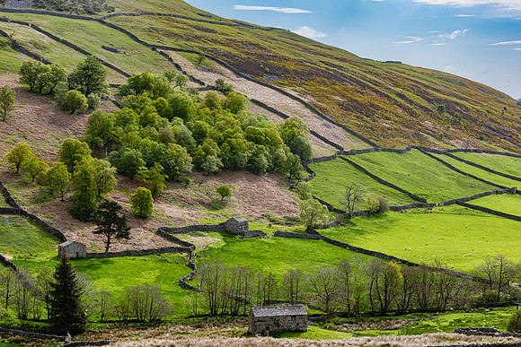Swaledale, Yorkshire Dales