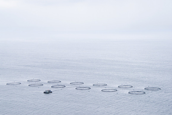 Salmon Farm, Skye