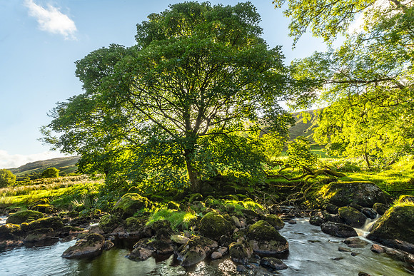 Glens of Antrim
