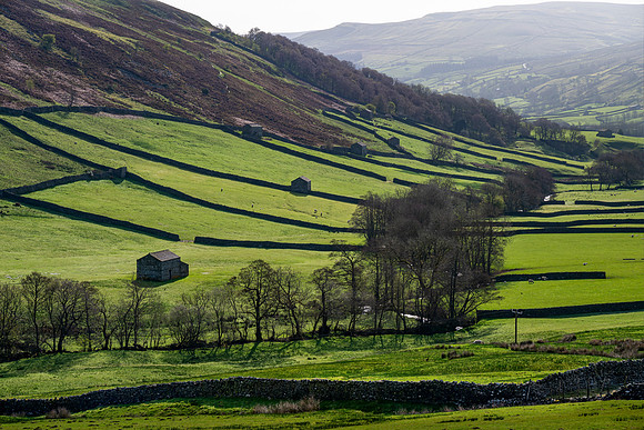 Thwaite
