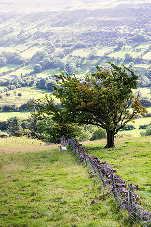 Glens of Antrim