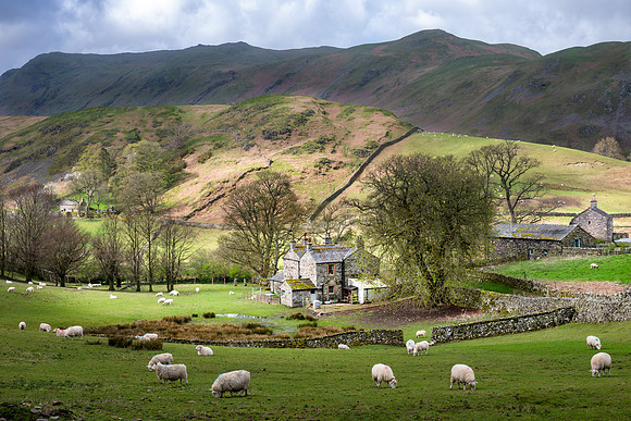 Martindale