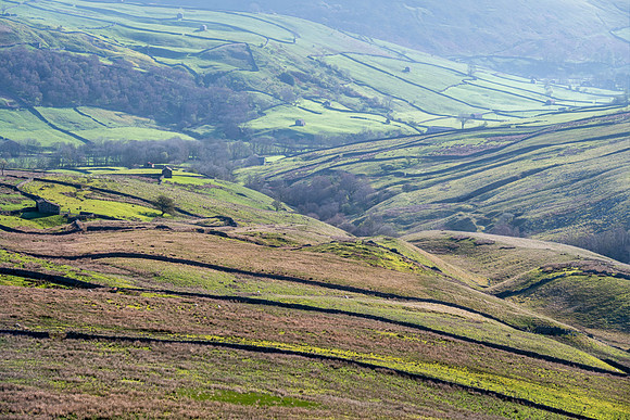 Thwaite