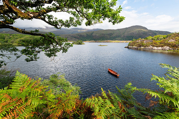 Killarney National Park, Ring of Kerry