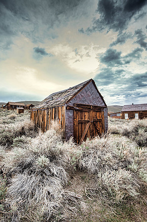 Bodie XVIII