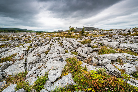 The Burren